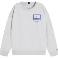 Tommy Hilfiger Kb0kb10594 Collegegenser