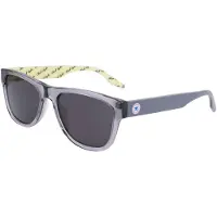 Converse Cv500s Solbriller