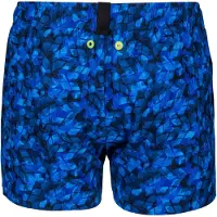Arena Evo Beach X Allover Badebukse
