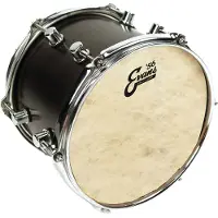 Evans 56 Calftone 12 Drum head