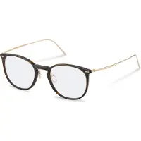 Rodenstock R7136 Pantos Briller