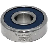 BLACK BEARING Ceramic Lager