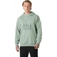 Helly Hansen Core Graphic Hettegenser