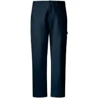 Pepe Jeans for man. PM2100075 Marine Washed Relaxed Carpenter Canvas Pants (32), Casual, Cotton, Navy