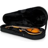 Gator GL-MANDOLIN Rigid EPS Mandolin Case