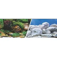 Aqua Marina 3d Akvatisk Hage Og Steiner Akvariumbakgrunn
