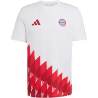 Adidas Fc Bayern Munich Anthem Graphic Kortarmet T-skjorte
