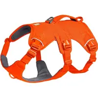 Ruffwear Web Master Hundesele