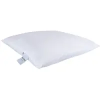 Zen Sleep Fiberpute - Allergivennlig hodepute - 60x63 cm - Middels høyde pute -