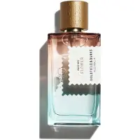 Goldfield & Banks Pacific Rock Flower 50 ml