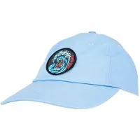 Santa Cruz Screaming Wave Cap
