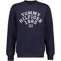 Tommy Hilfiger Arch Collegegenser