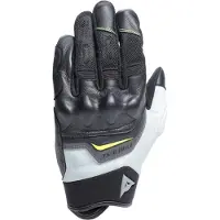 Dainese Ermex Racinghansker