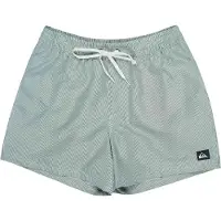 Quiksilver Everyday Deluxe Volley 15 Boardshorts grønn