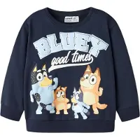 Name it Bluey Sweatshirt
