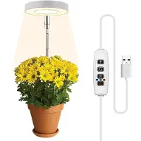 INF Plantebelysning for potteplanter varmhvitt / hvitt