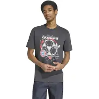 Adidas Fc Bayern Munich Seasonal Graphic Kortarmet T-skjorte