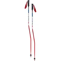 Swix World Cup Pro Sg Carbon Spaserstokker