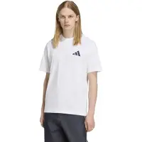 Adidas Fc Bayern Munich Seasonal Graphic Kortarmet T-skjorte
