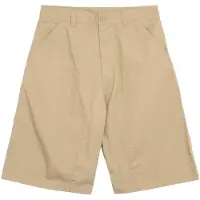 Carhartt WIP Postal Dk Shorts brun