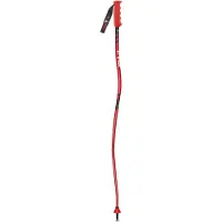 Vola Aluminium Gs Senior Nordic Sr Sl Alu-carbon World Cup-staver