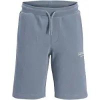 Jack & Jones Shorts - Svette - JpstGordon - Blue Mirage - - 14 år (164) - Shorts