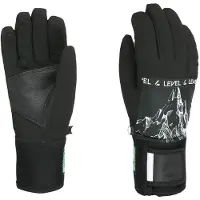 Level Comet Hansker