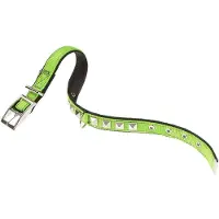 Ferplast Dual 20 Mm 43 Cm Hundehalsbånd