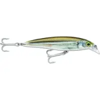 Rapala X-rap Saltwater Minnow 13g 100 Mm