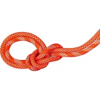 Mammut Crag Classic Duodess 9.8 Mm Tau