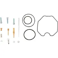 Moose Hard-parts Can Am Ds 250 2x4 06-25 Forgasser Reparasjonssett