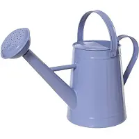Décoris Zinc Vanningskanne