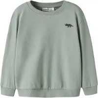Name It Mini Collegegenser - NmmVallen - Green Miljø/Dino - - 5 år (110) - Collegegenser