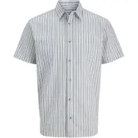 Jack & Jones Chad Oxford Stripe Kortarmet Skjorte