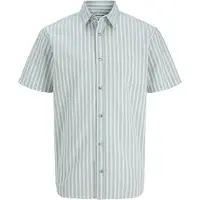 Jack & Jones Chad Oxford Stripe Kortarmet Skjorte
