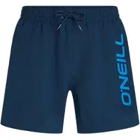 O'Neill Logo 16'' Boardshorts blå