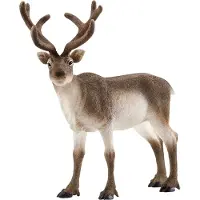 Schleich Dyr - L:13 cm - Rein 14837 - - OneSize - Lekedyr