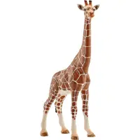 Schleich Wild Life - H: 17 cm - Sjiraff 14750 - - OneSize - Lekedyr