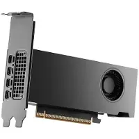 Nvidia RTX PRO 2000 Blackwell Bulk - 16GB GDDR7 RAM - Grafikkort
