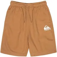 Quiksilver Easy Day Youth Sports Shorts