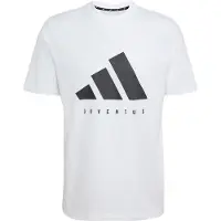 Adidas Juventus Turin Dna Graphic Kortarmet T-skjorte
