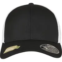 Flexfit 110rt Cap