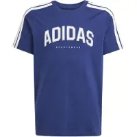 Adidas Codes Collegiate Graphic Kortarmet T-skjorte