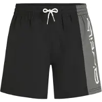 O'Neill Retro 14'' Boardshorts svart
