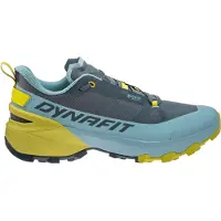 Dynafit Transalper 2 Gore-tex Tursko