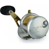 Shimano Talica 8 Rh Trolling Snelle