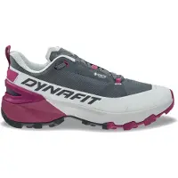 Dynafit Transalper 2 Gore-tex Tursko