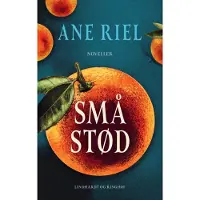 CSBOOKS Små støt | Ane Riel | Språk: Dansk