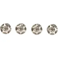 Silca Sicuro Titanium Flaskeholder Skruer 4 Enheter