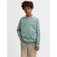 Jack & Jones Collegegenser - JorNorrebro - Laurbærkrans/AW 26 - - 14 år (164) - Collegegenser